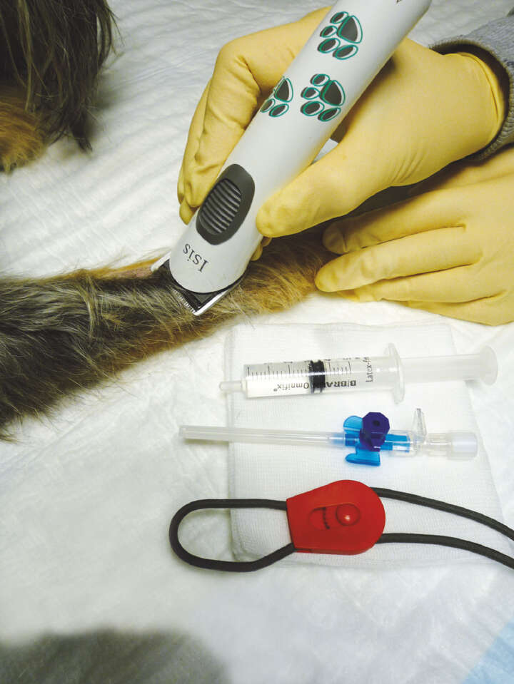 AESCULAP Akkutrimmer Isis